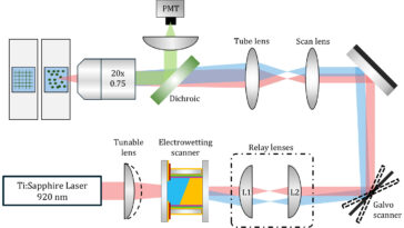Des chercheurs pionniers dans le domaine du balayage laser fluide pour l’imagerie cérébrale