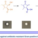 Des chimistes découvrent un antibiotique contre des bactéries résistantes aux médicaments « cachés à la vue de tous »