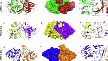 Des enzymes uniques utilisent un mécanisme jamais vu auparavant pour résister aux antibiotiques