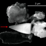 Des magnétofossiles géants suggèrent que la vie océanique ancienne possédait un « GPS » intégré et pourrait éclairer les particules de Mars
