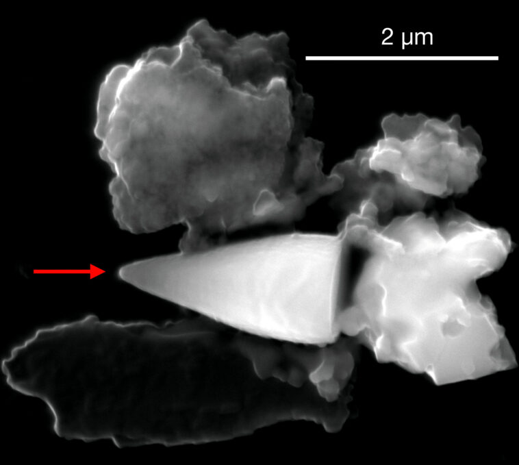 Des magnétofossiles géants suggèrent que la vie océanique ancienne possédait un « GPS » intégré et pourrait éclairer les particules de Mars