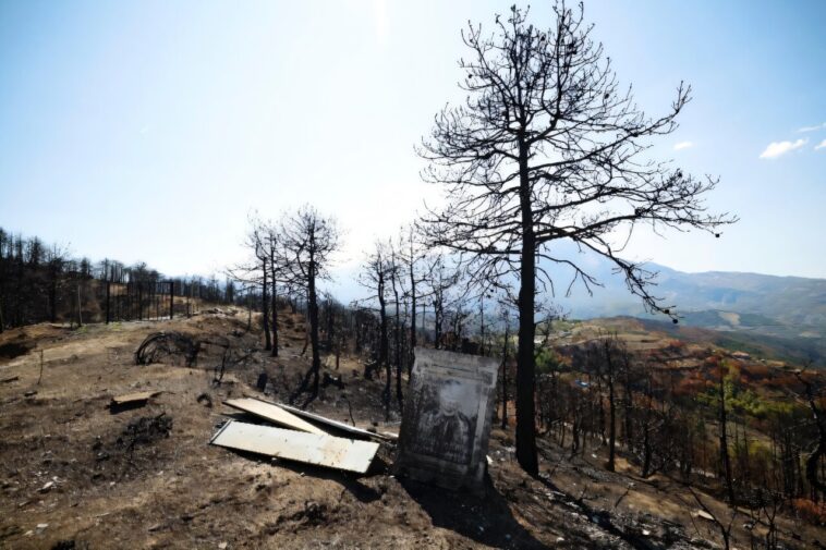 Des questions pèsent sur les forêts albanaises après des incendies dévastateurs