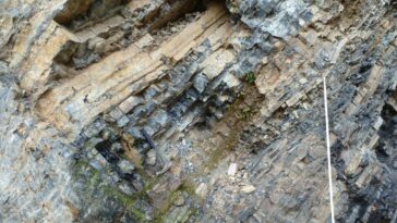 Des roches sédimentaires révèlent un refroidissement ancien des fonds marins