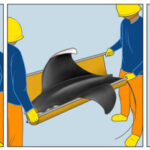 Une illustration du retour des raies à l'eau par des pêcheurs sans civière