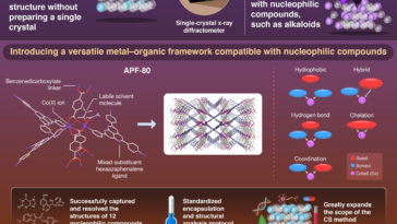 Déverrouillage de l'analyse structurelle des alcaloïdes avec un nouveau cadre métal-organique