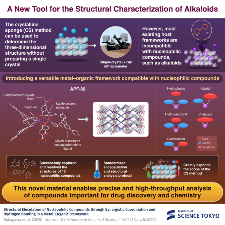 Déverrouillage de l'analyse structurelle des alcaloïdes avec un nouveau cadre métal-organique