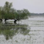Effet cul-de-sac : pourquoi les régions méditerranéennes sont de plus en plus sujettes aux inondations extrêmes dans un contexte de changement climatique