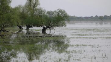 Effet cul-de-sac : pourquoi les régions méditerranéennes sont de plus en plus sujettes aux inondations extrêmes dans un contexte de changement climatique