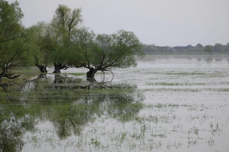 Effet cul-de-sac : pourquoi les régions méditerranéennes sont de plus en plus sujettes aux inondations extrêmes dans un contexte de changement climatique Effet cul-de-sac : pourquoi les régions méditerranéennes sont de plus en plus sujettes aux inondations extrêmes dans un contexte de changement climatique