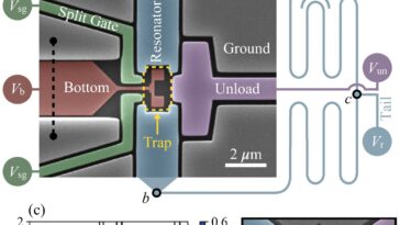 Électrons individuels piégés et contrôlés au-dessus de 1 K, assouplissant les limites de refroidissement pour l'informatique quantique