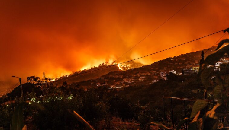 En 2024, la crise climatique s’est aggravée de toutes les manières. Mais nous pouvons encore limiter le réchauffement grâce à des mesures audacieuses En 2024, la crise climatique s’est aggravée de toutes les manières. Mais nous pouvons encore limiter le réchauffement grâce à des mesures audacieuses