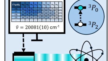 Étapes clés vers la réalisation d'une horloge optique de haute précision basée sur Ni¹²⁺