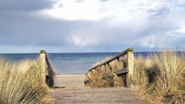 Évaluer si la définition de marqueur à marée haute protège l'accès à la plage publique au milieu des mers en hausse