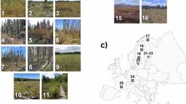 Exploiter la technologie et la collaboration mondiale pour comprendre les tourbières