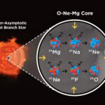 Explorer comment la matière noire modifie les supernovae à capture d'électrons et la naissance des étoiles à neutrons