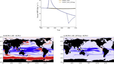 Fertilisation des océans par le fer ou alcalinisation artificielle des océans ? Une étude révèle des effets divergents sur le climat