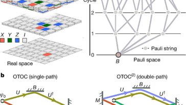 Google affirme que son dernier algorithme quantique peut surpasser les superordinateurs dans une tâche réelle