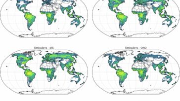 Il a été démontré que les diterpènes des arbres forment des aérosols, ce qui entraîne des mises à jour des modèles atmosphériques