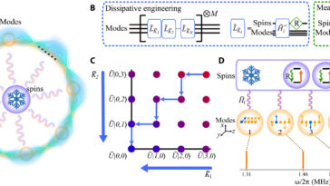 Intrication quantique multimode réalisée grâce à l'ingénierie de dissipation