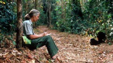 Jane Goodall, défenseure du monde naturel, est décédé à l'âge de 91 ans