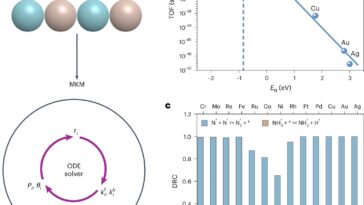 L'IA rationalise la recherche de catalyseurs pour éliminer les obstacles à la production d'hydrogène