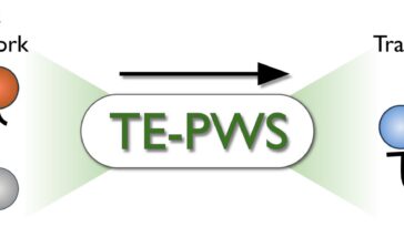 L'algorithme quantifie avec précision le flux d'informations dans des réseaux complexes