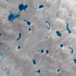 L'avenir de la glace antarctique: une nouvelle étude révèle les mathématiques des lacs d'eau de fonte