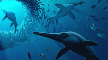 L'ichtyosaure « Sword Dragon » avait des yeux énormes et un museau mortel