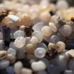 L’UE vise les granulés de plastique pour empêcher leur nettoyage cauchemardesque