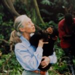 La cause du décès de Jane Goodall révélée