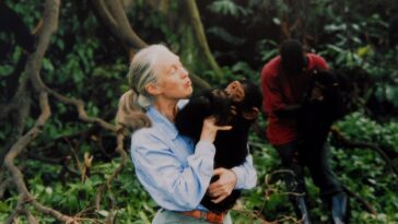 La cause du décès de Jane Goodall révélée