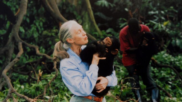 La cause du décès de Jane Goodall révélée