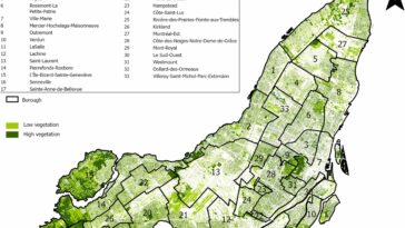 La chaleur urbaine à Montréal est liée à un accès inégal aux espaces verts