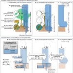 La déforestation peut entraîner une augmentation de huit fois du risque d'événements d'inondation
