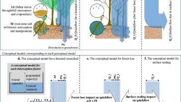 La déforestation peut entraîner une augmentation de huit fois du risque d'événements d'inondation