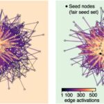 La diffusion algorithmique peut conduire à des inégalités d’information