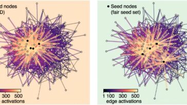 La diffusion algorithmique peut conduire à des inégalités d’information