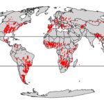 La diversité fonctionnelle des plantes varie considérablement selon les cycles saisonniers et les périodes humides et sèches, révèlent les images satellite La diversité fonctionnelle des plantes varie considérablement selon les cycles saisonniers et les périodes humides et sèches, révèlent les images satellite