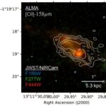 La galaxie lointaine A1689-zD1 présente un rapport poussière/gaz inhabituellement faible