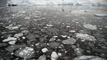 La glace de mer en antarctique frappe son troisième pic d'hiver le plus bas jamais enregistré