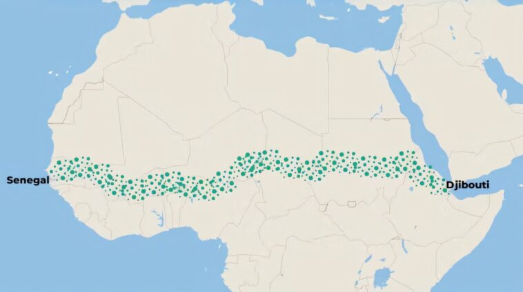 La « grande muraille verte » africaine est au point mort : au Sénégal, très peu de zones plantées montrent des progrès La « grande muraille verte » africaine est au point mort : au Sénégal, très peu de zones plantées montrent des progrès
