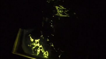 La mécanoluminescence sans cristal ouvre de nouvelles possibilités pour les matériaux de nouvelle génération