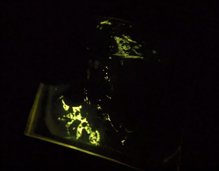 La mécanoluminescence sans cristal ouvre de nouvelles possibilités pour les matériaux de nouvelle génération