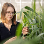 La nature incite les chercheurs à récupérer des milliards de dollars en ressources critiques