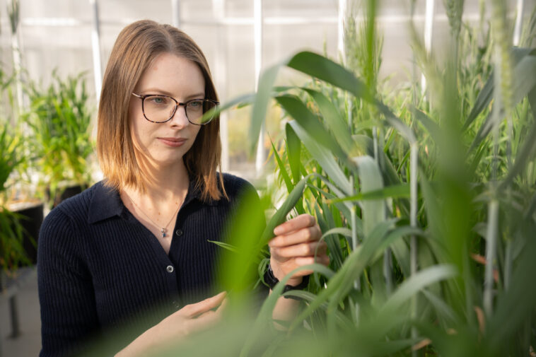 La nature incite les chercheurs à récupérer des milliards de dollars en ressources critiques