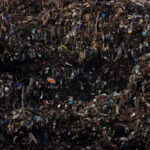 La nourriture que vous jetez vous coûte cher et émet des tonnes de pollution. Nous avons des conseils pour réduire