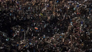 La nourriture que vous jetez vous coûte cher et émet des tonnes de pollution. Nous avons des conseils pour réduire