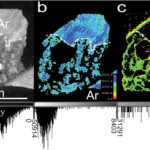 La numérisation à neutrons des fossiles corail révèle l'histoire du climat caché de la Terre La numérisation à neutrons des fossiles corail révèle l'histoire du climat caché de la Terre