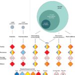 La pollution chimique du monde: état de recherche actuel