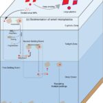 La pollution plastique pourrait persister à la surface des océans pendant plus d’un siècle, selon une nouvelle étude